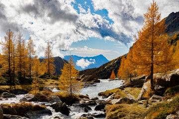 Locality Preda rossa in Val Masino, Valtellina, Italy, autumn view - 669618539