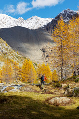 hiker in Preda Rossa area with autumn landscape in Val Masino, Italy - 669620153