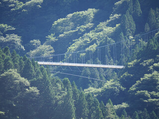 "Fujido" in Ueno Village and its surroundings