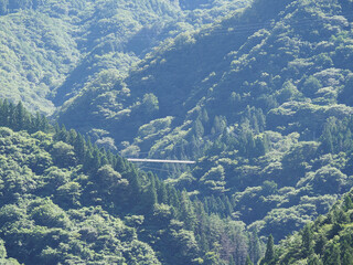 "Fujido" in Ueno Village and its surroundings