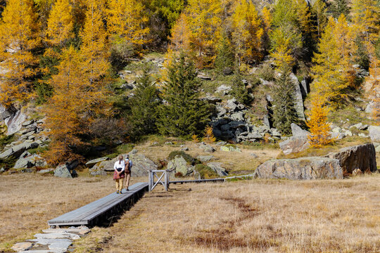 elderly couple hikers in autumn landscape