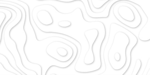 Abstract wavy line 3d paper cut white background. abstract white background with smooth wavy layers. silver grid map line topography mount map contour background texture .