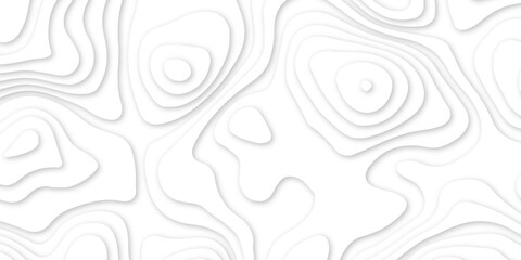 Abstract wavy line 3d paper cut white background. abstract white background with smooth wavy layers. silver grid map line topography mount map contour background pattern .
