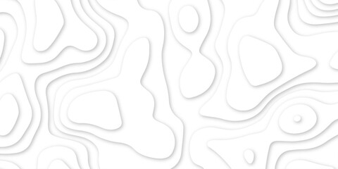 Abstract wavy line 3d paper cut white background. abstract white background with smooth wavy layers. silver grid map line topography mount map contour background, geographic grid .