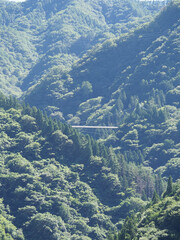 "Fujido" in Ueno Village and its surroundings