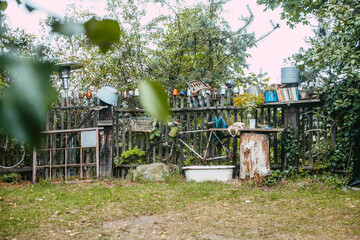 Old bike and wooden fence surrounded by greenery