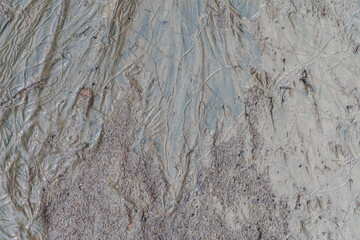 Embossed texture of the bark of oak with. Panoramic photo of the oak texture. High quality photo