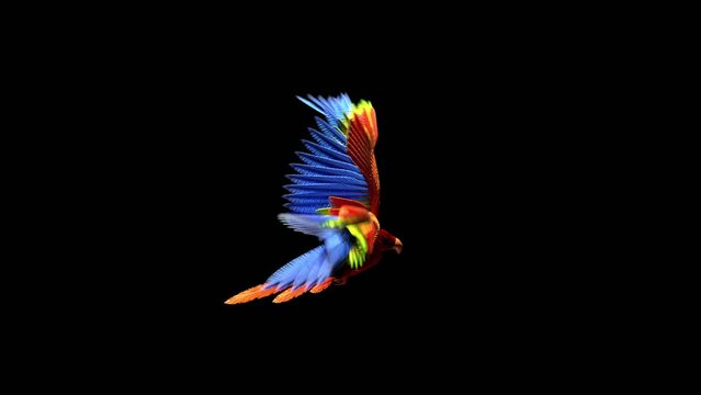 bird flight on a dark background, parrot, 3d render, cyclic animation