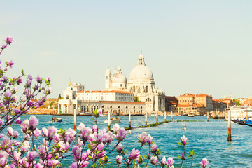 Basilica Santa Maria della Salute and Grand canal water at spring day, Venice, Italy