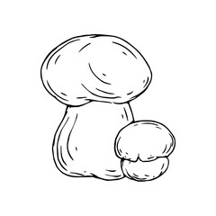 Linear sketch, doodles of forest mushrooms. Vector graphics.
