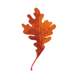 Obraz premium Colorful autumn leaf. Vector graphics.