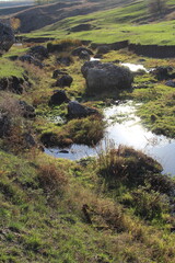 Fototapeta na wymiar A stream running through a grassy area