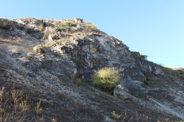 A rocky mountain with plants