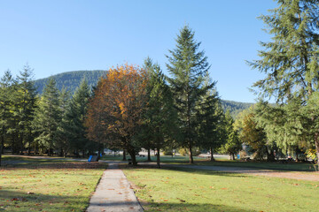 Buntzen Lake Park during the fall season in Anmore, British Columbia, Canada