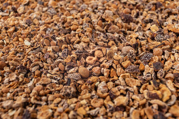 Crataegus, commonly called hawthorn, quickthorn,thornapple, May-tree, whitethorn, Mayflower or hawberry