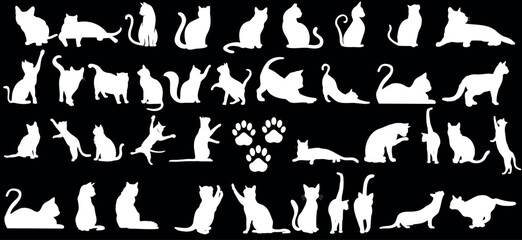 Cat silhouette vector illustration, white on black. Feline figures in various poses: sitting, standing, walking, stretching. Perfect for pet-related designs, cat lovers. Elegant domestic cats