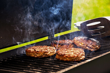 grilled meat on the grill