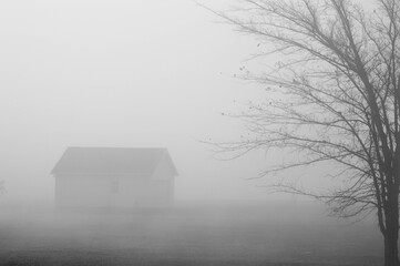 Misty winter scene foggy morning