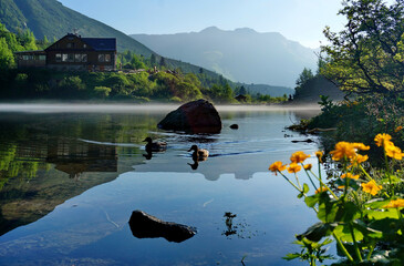 Photo of ducks swimming in the lake Zelene pleso on a calm sunny day, with mountain hut Chata pri...