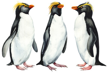 Watercolor penguins set on isolated white background. Watercolor painting, cute bird hand drawn illustration. Clipart