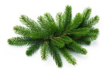 A Festive Pine Tree Branch Against a Clean White Background Created With Generative AI Technology