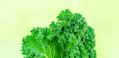 Fresh green kale salad on a bright summer background. Creative layout made of kale leaves. .