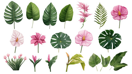 Set of tropical leaves and flowers isolated on transparent background. Beautiful tropical exotic foliage. Generative AI - obrazy, fototapety, plakaty