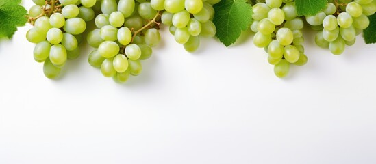 Background of white grapes green - obrazy, fototapety, plakaty