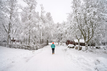 A calm tranquil view of the snow covered trees in the snowdrifts. Magical winter forest. Natural landscape with cloudy sky.