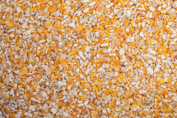Crushed corn seed background, top view. Dry and crushed corn seeds, background, texture, top view. Pile of crushed corn seeds. Background from crushed corn seeds, texture.