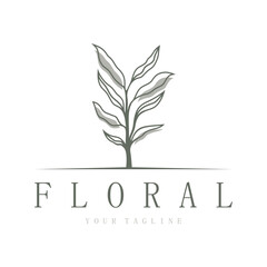 Obraz premium Elegant floral and leaf frame. Delicate botanical vector illustration for labels, spas, corporate identity, and wedding invitations