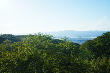 Fototapeta na wymiar City view of Tokushima from Mt. Bizan in Tokushima, Japan - 日本 徳島 眉山からの街並み