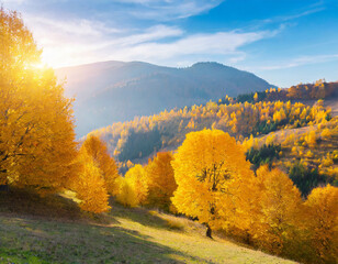 Yellow autumn trees in the mountains at sunny day