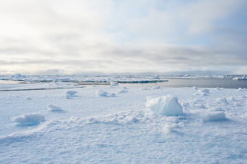 Melting ice at the edge of the ice pack in the arctic ocean, ice bergs floating in the ocean in the...