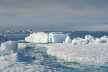 Melting ice at the edge of the ice pack in the arctic ocean, ice bergs floating in the ocean in the far north, signs of global warming and climate change  © knelson20