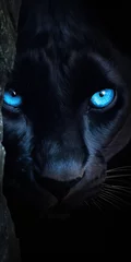 Tuinposter Blue-Eyed Black Panther - Intense Close-Up Portrait © Nick Alias