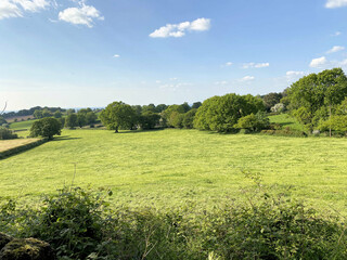 A view of the Cheshire Countryside at Peckforton