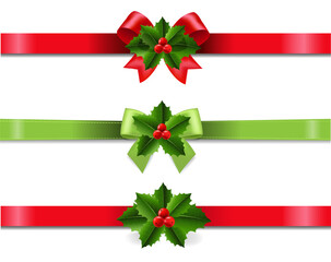 Ribbons Set With Holly Berry Isolated