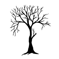 Silhouette of a dry branchy tree. Vector graphics.