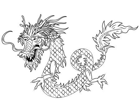 Traditional dragon line art style  illustration drawing isolated on white background. Chinese new year, year of the Dragon