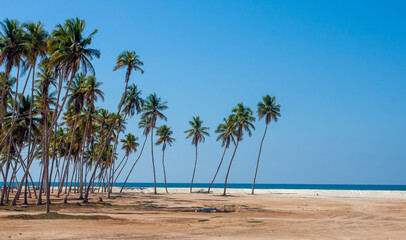Pusta dzika plaża Salala w Omanie