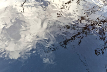 Reflection in icy water. Optical distortion of trees and blue sky with clouds, winter mood for...
