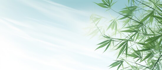 Nature inspired background featuring bamboo and a sky vignette