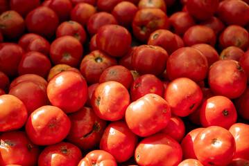Tomatoes at farm stand. Fresh vegetables: juicy ripe organic tomatoes, farm-to-table raw food.