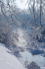 Frost and frost on the branches. Fog over the winter river. Winter background.