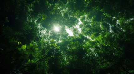 Fototapeta na wymiar Abstract Rainforest Canopy texture background