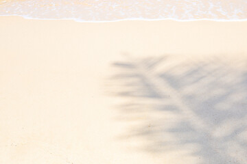 Background of white sand with a shadow from a palm leaf on the seashore at the water's edge