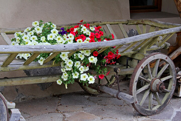 vecchio carro da fieno con fiori a Vogo di Fassa