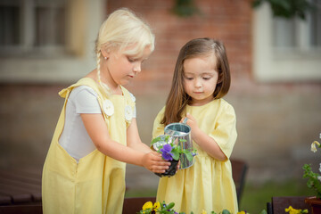 Little gardeners girls  planting flowers in summer 