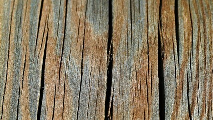 Close-up photo of the rough surface of an old wooden board